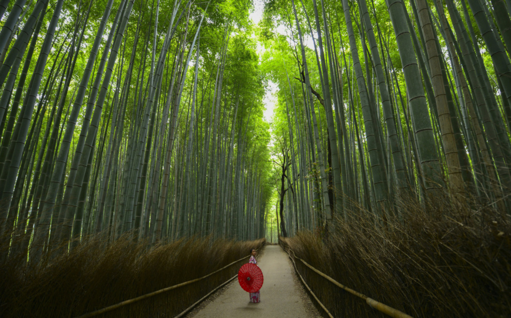 Kyoto