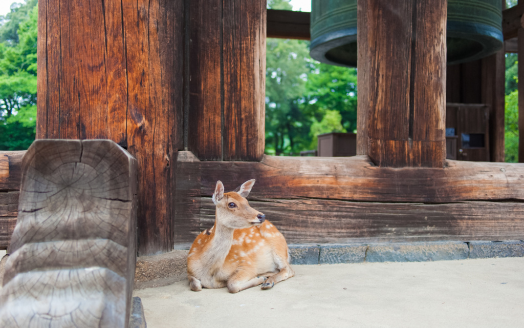 Kyoto