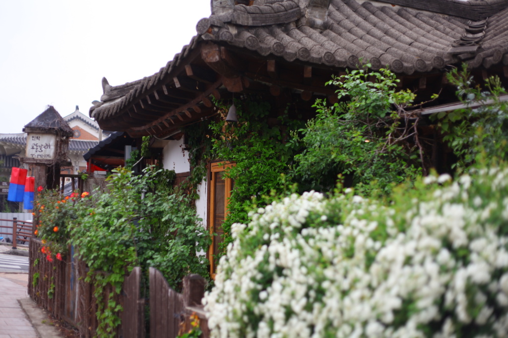 Best things to do in Jeonju