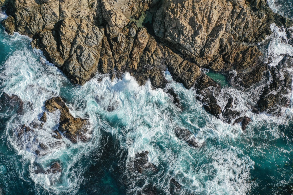 Point Lobos in California