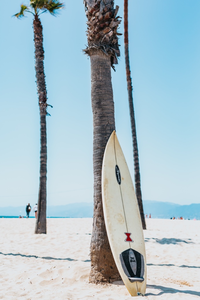 white and black surfboard leaning on gray Mexican palm tree