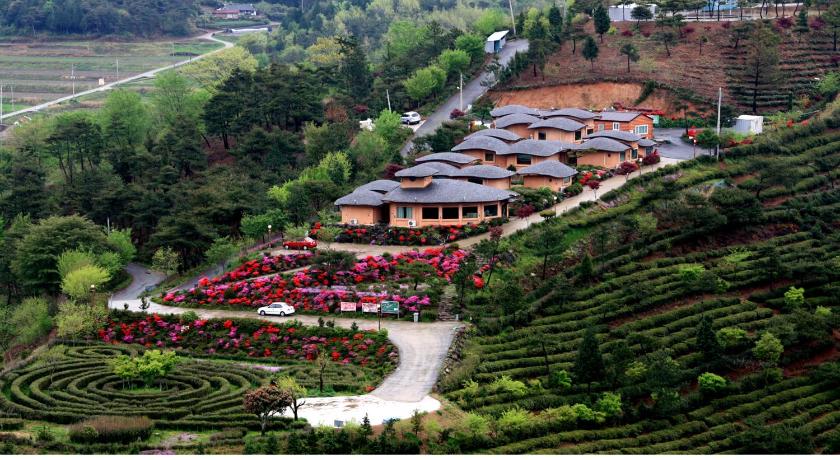 Best hotel in Boseong Green Tea Fields