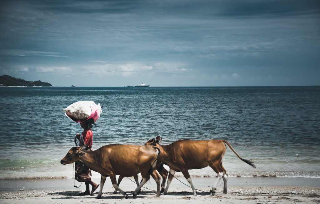 Lombok