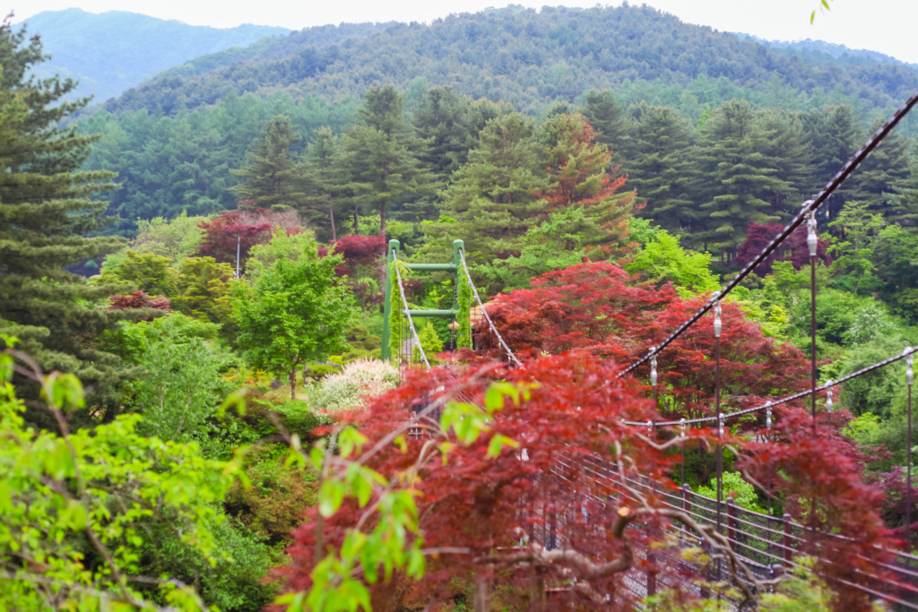 Guide for a visit to the Garden of the Morning Calm in Korea