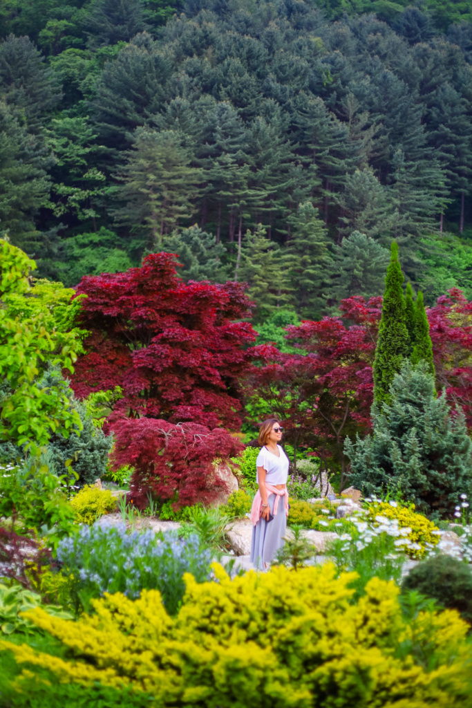 Garden of the morning calm