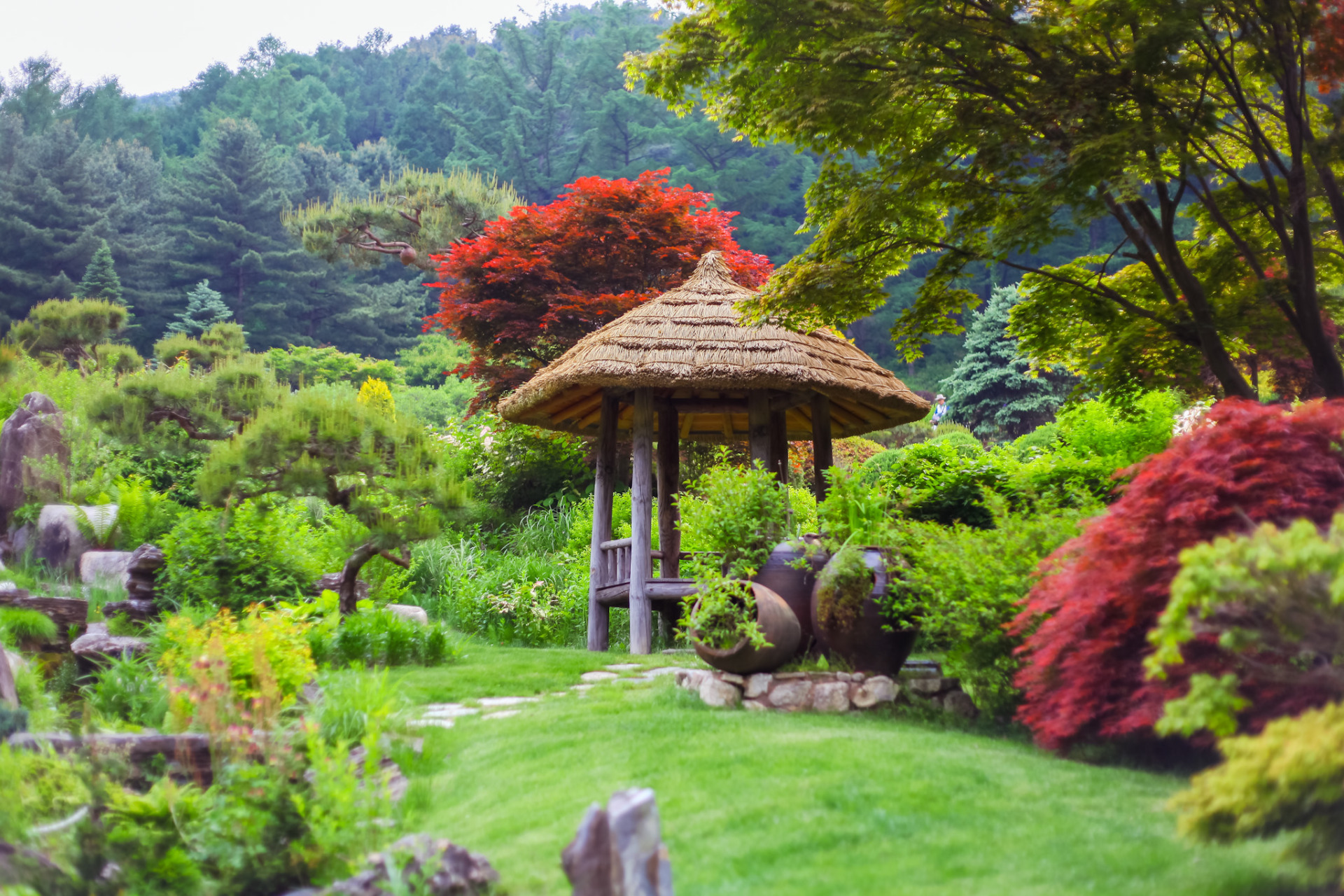 GARDEN OF THE MORNING CALM (KOREA) - PERFECT GUIDE