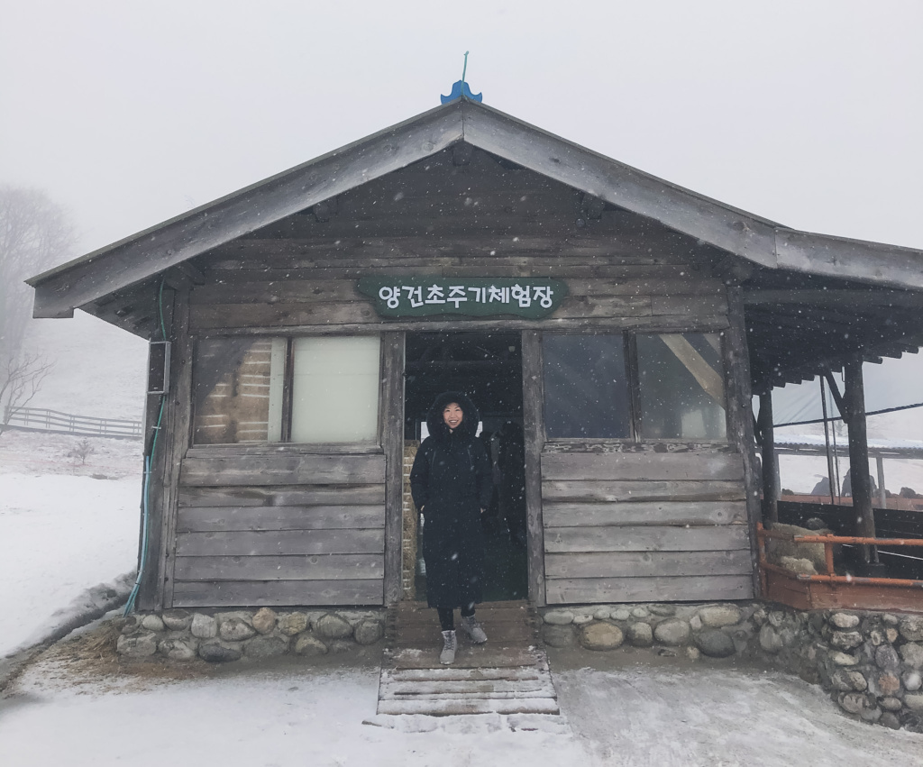 Daegwallyeong sheep farm