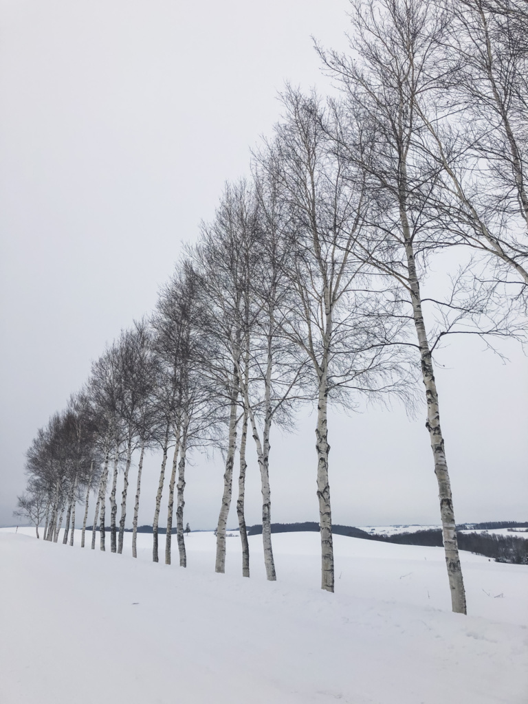 Guide for Furano in Winter