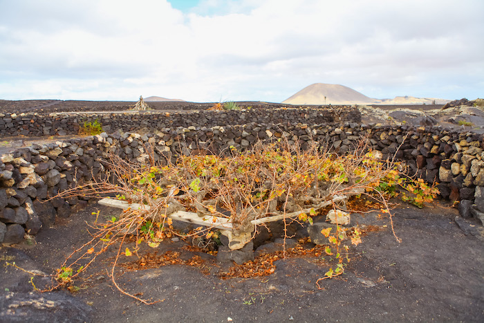 Best things to do in Lanzarote