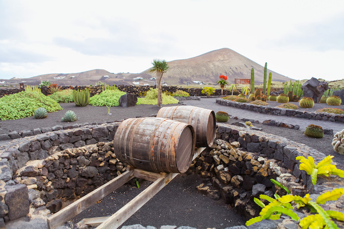 Best things to do in Lanzarote