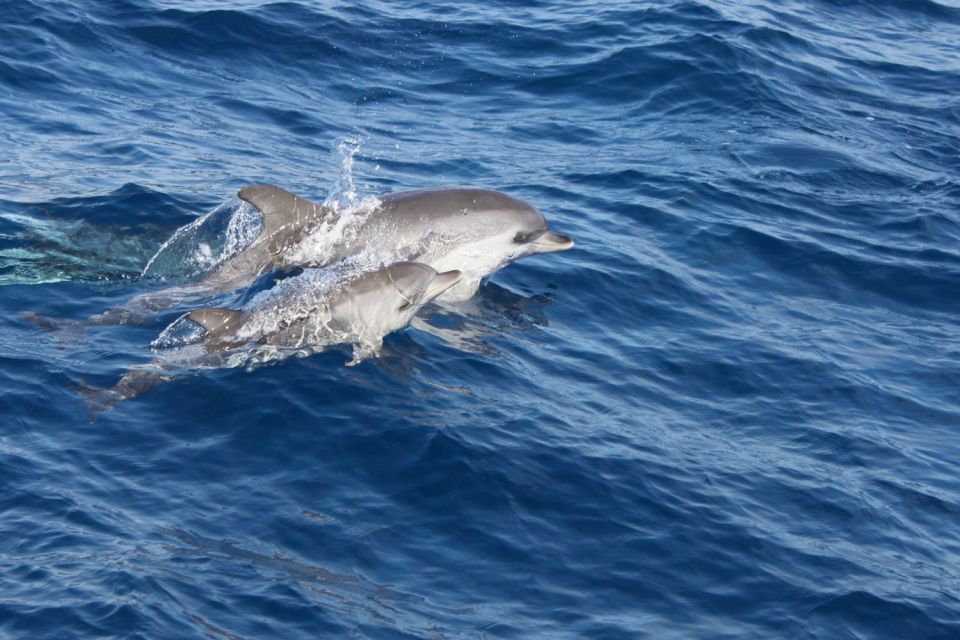 Boat trip, one of the best activities in Lanzarote