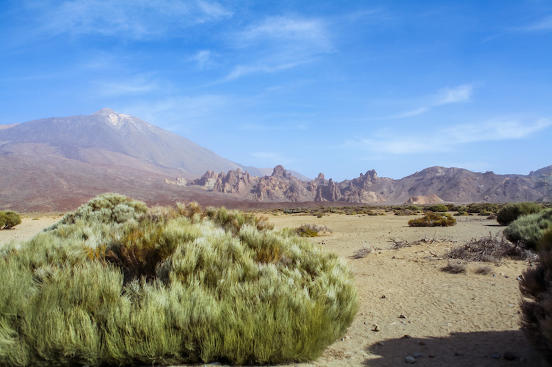 Best things to do in Tenerife