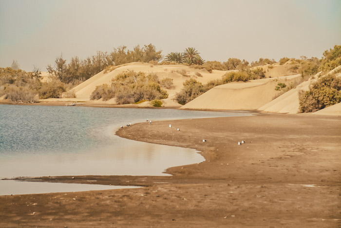 Maspalomas