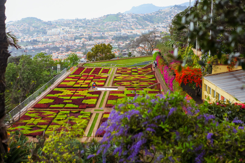 Best things to do in Madeira: Botanical Garden