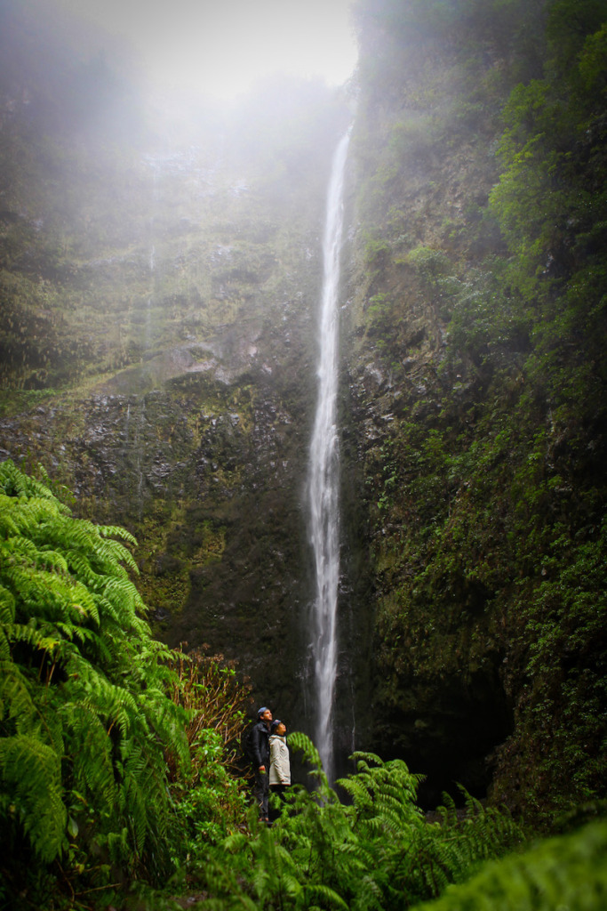 What to do in Madeira: Waterfall in Madeira