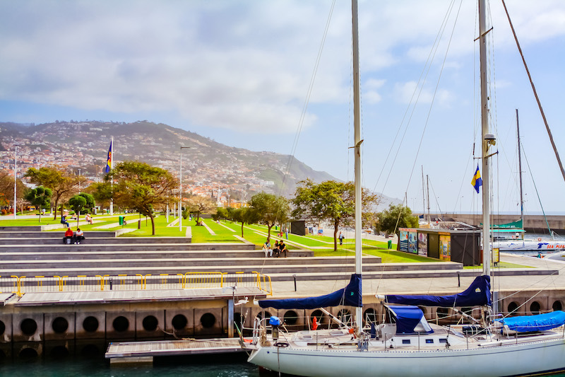 What to do in Funchal: admire Boat docked at the marina in Funchal