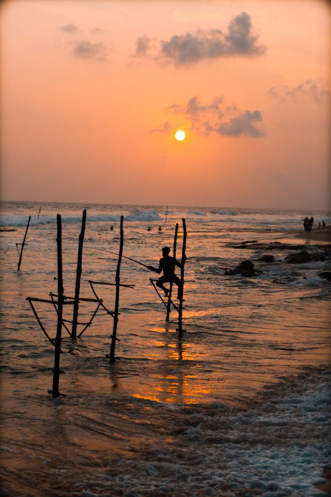 stilt fisherman in Koggala in the south of Sri Lanka