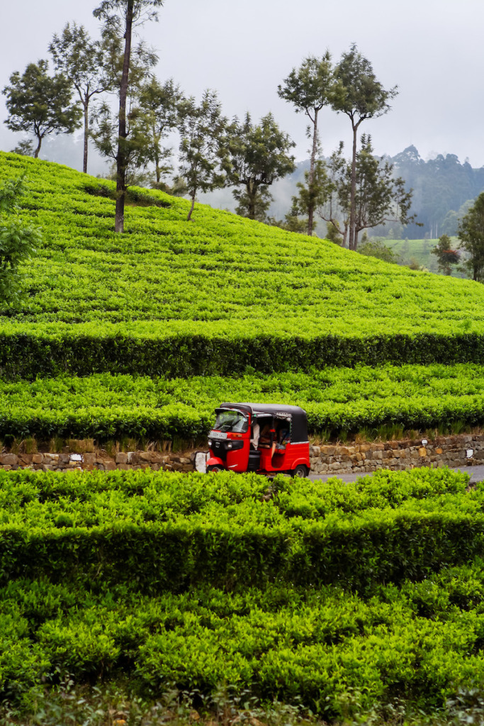 Lipton's Seat in Sri Lanka