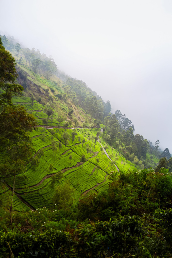 Lipton's Seat in Sri Lanka