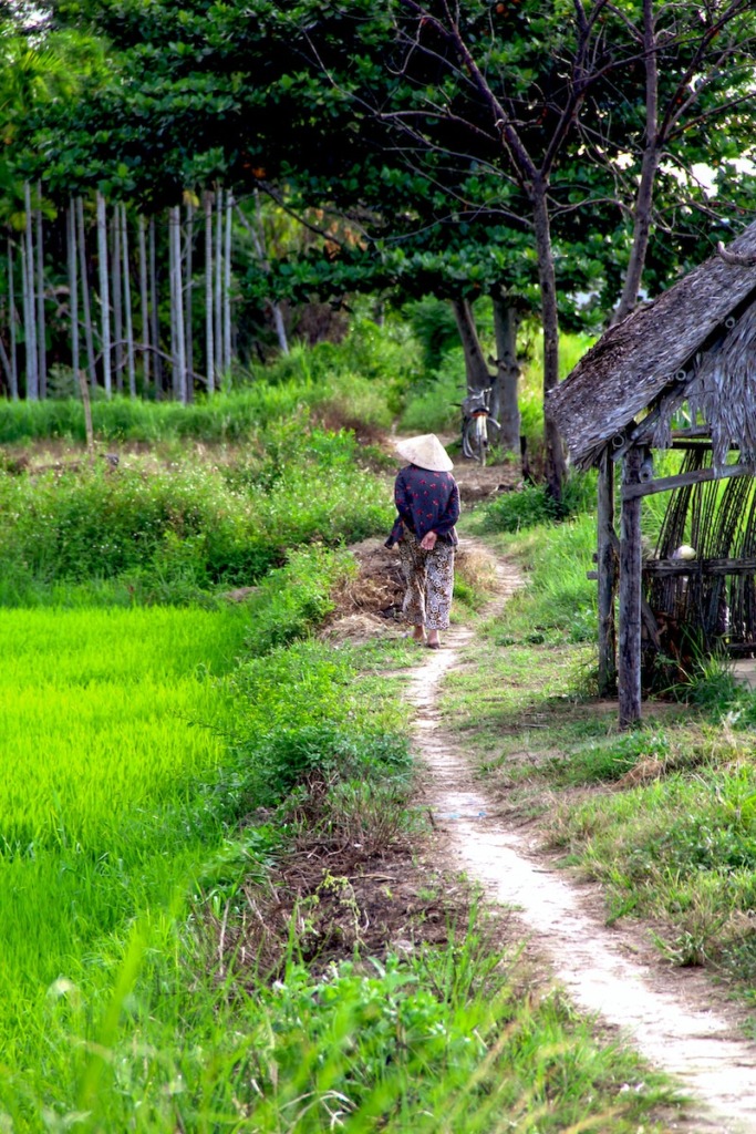 Village in Hoi An