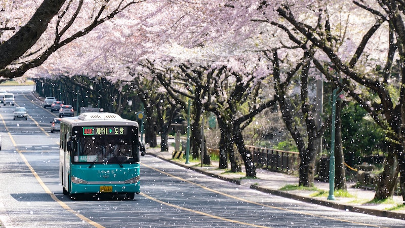 Bus in Korea