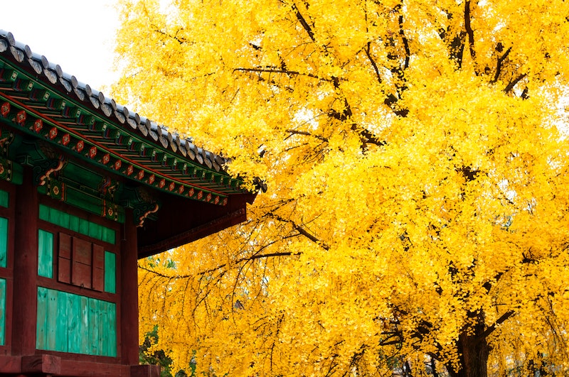 Best things to see in Jeonju