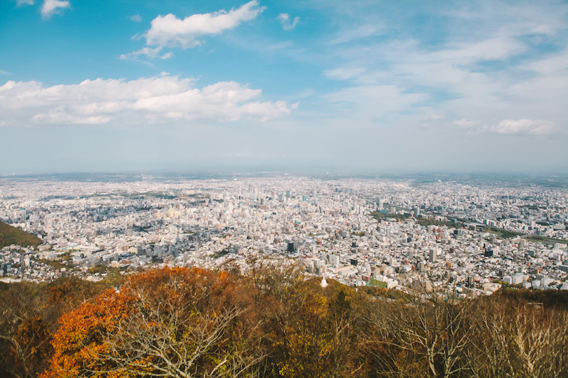 The view from Mt. Moiwa in Sapporo