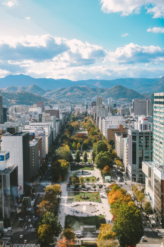 The view of Sapporo from the TV Tower