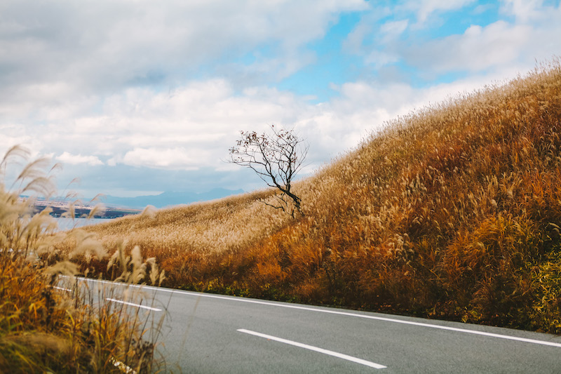 Best things to see in Lake Yamanaka in Japan