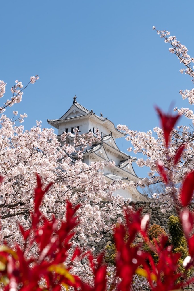 Best time to visit Japan