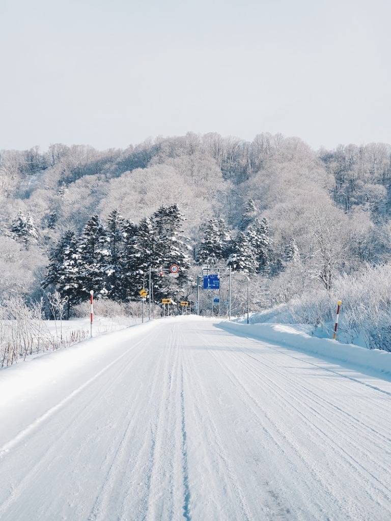 Best winter activities in Hokkaido
