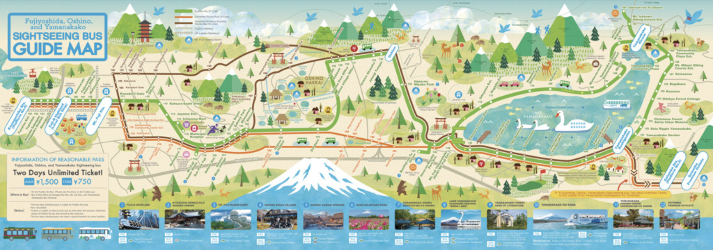 Best things to do around Lake Yamanaka