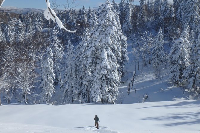 One of the best winter activity in Hokkaido: snowshoeing