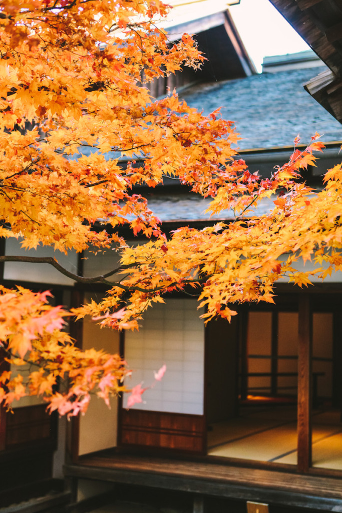 Best things to do in Takayama