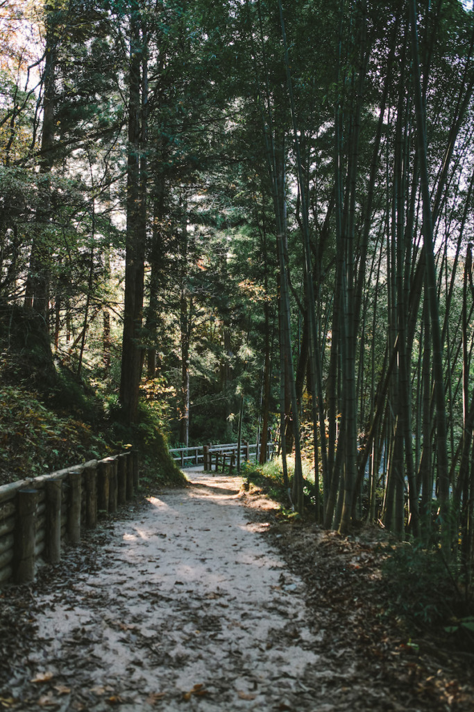 Nakasendo Way