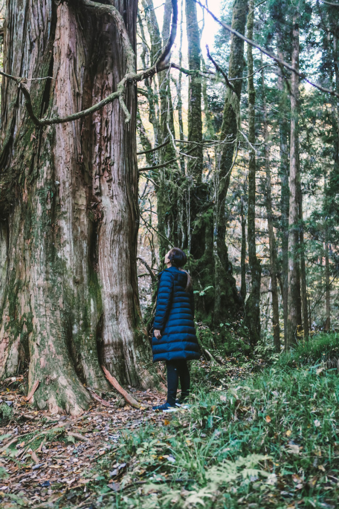 Magome - Tsumago: Nakasendo Way