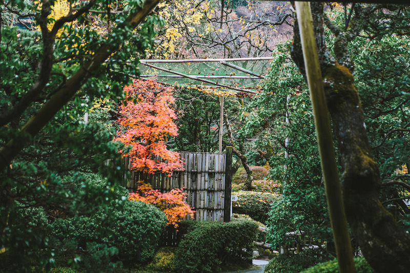 Rin-no-ji garden in Nikko