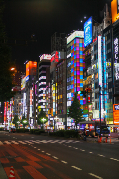 15 BEST THINGS TO DO IN SHINJUKU [TOKYO GUIDE]