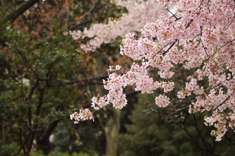 Ueno in Tokyo