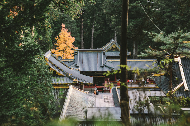 Best day trips from Tokyo: Nikko