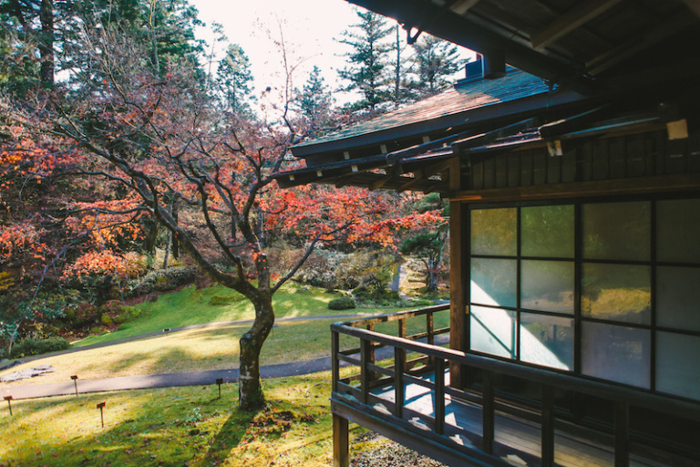 10 BEST DAY TRIPS FROM TOKYO [JAPAN GUIDE]