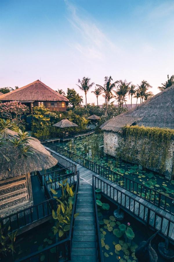 Where to stay in Canggu