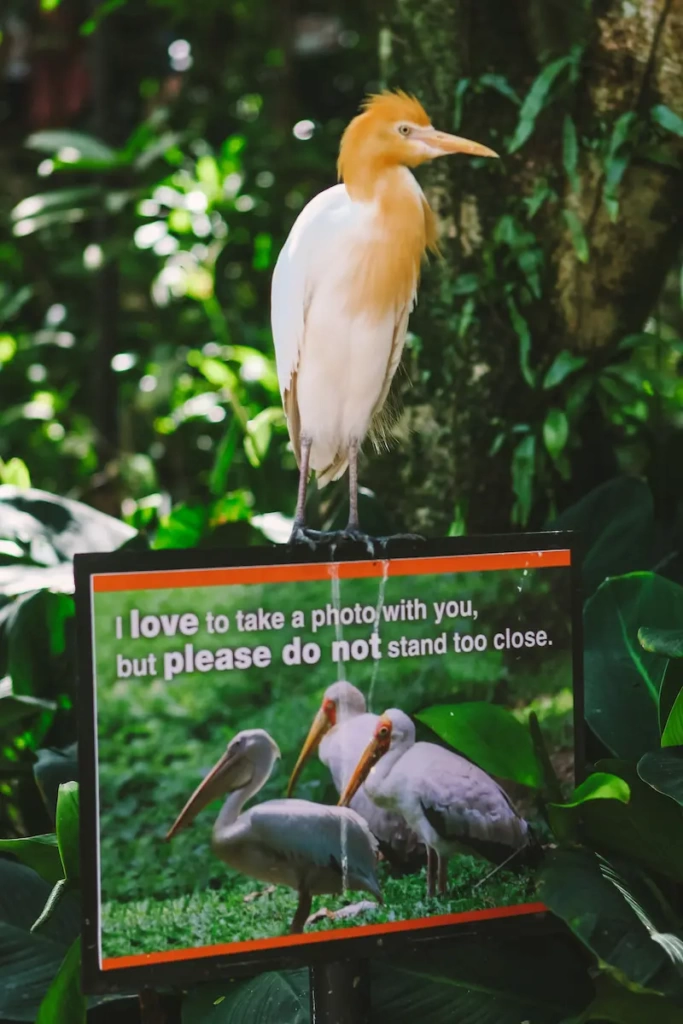 KL Bird Park in Kuala Lumpur, Malaysia