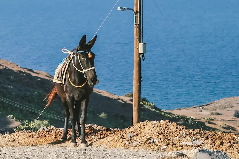 Hike from Fira to Oia in Santorini