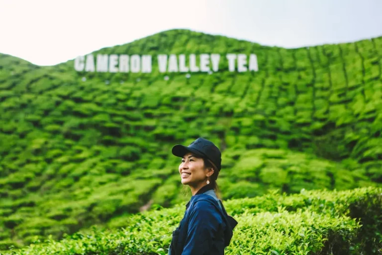 19 BEST THINGS TO DO IN CAMERON HIGHLANDS [MALAYSIA]