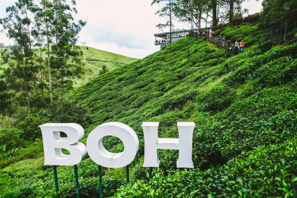 Things to do in Cameron Highlands