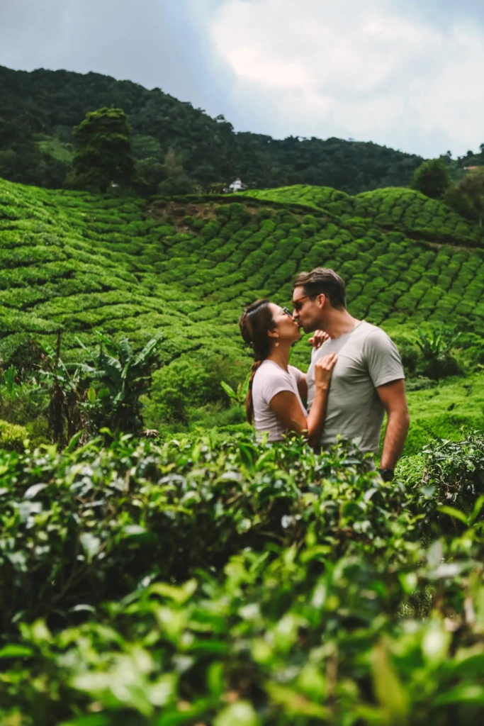 19 BEST THINGS TO DO IN CAMERON HIGHLANDS [MALAYSIA]