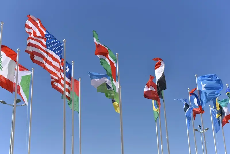 Multiple flags