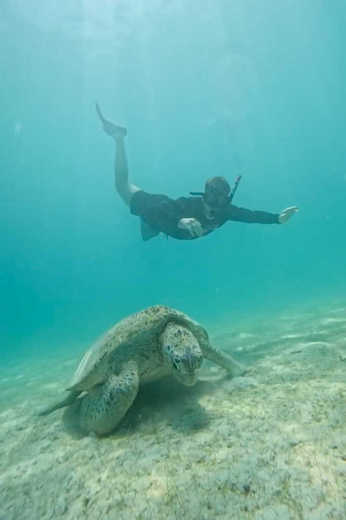 Swimming with turtles in Perhentian