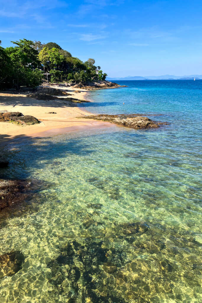 Transparent water full of corals